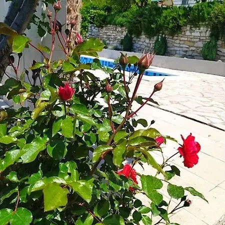 Villa Dairis *
